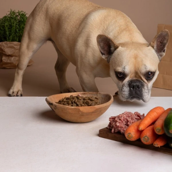 comida para perros colombia